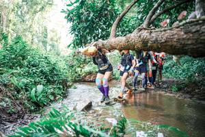 BIB: 
                            <button type="button" onclick="openModal(25514890)" class="btn btn-primary btn-sm float-right btn-popup" data-toggle="modal" data-target=".modal-high-quality">
                        <i class="fas fa-shopping-cart"></i> Add to Cart
                    </button>
                                            <button type="button" onclick="isThisMe(25514890, true)" class="btn btn-success btn-sm float-right btn-popup btn-isme hidden" data-toggle="tooltip" data-placement="bottom" title="นี่คือรูปของคุณใช่ไหม คลิกที่นี่เพื่อเอาเข้าอัลบั้ม">
                        <i class="fas fa-plus"></i> Add to album
                    </button>
                    <button type="button" onclick="isThisMe(25514890, false)" class="btn btn-warning btn-sm float-right btn-popup btn-isnotme hidden">
                        <i class="fas fa-ban"></i> Remove from album
                    </button>